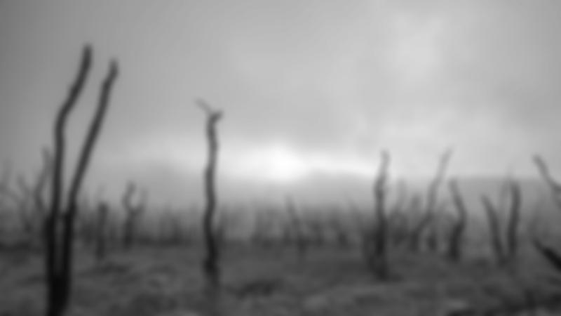 [Demo] Berlin: Python Workshop für Einsteiger