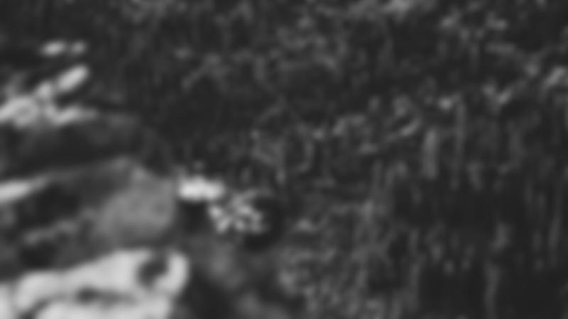 [Demo] Berlin: Webentwicklung – Deine erste Homepage