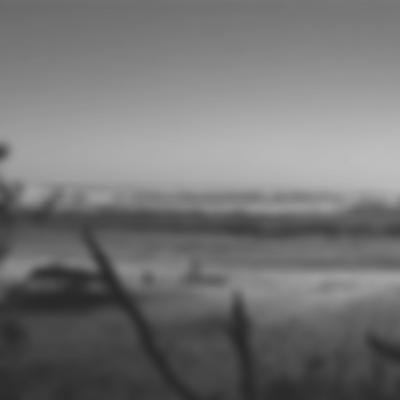 Digital BW e.V.