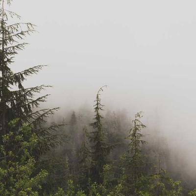 [Demo] Daniel Diehl – Dortmund