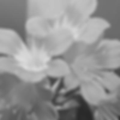 [Demo] Bildungswerk Thüringen e.V.